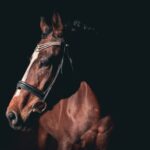 MONTURA-BROCHURE-1-5-16